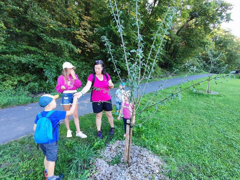 les enfants observent un arbre planté par le périscolaire de Buding