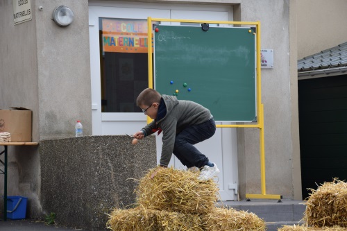 DSC 0236 Copie
