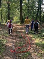 operation-reperage-terrain-jeu-geo-caching-foret-de-buding2